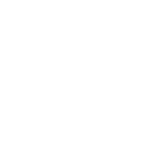 Reinigung nach VDI 2052